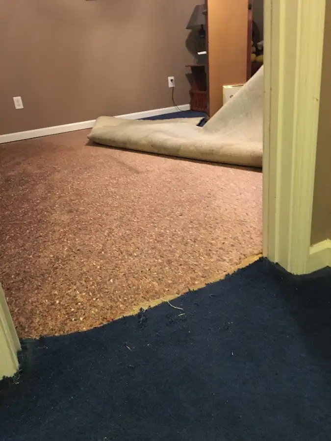 Carpet pad removal revealing water damage during Water Mitigation Services in Lynnfield